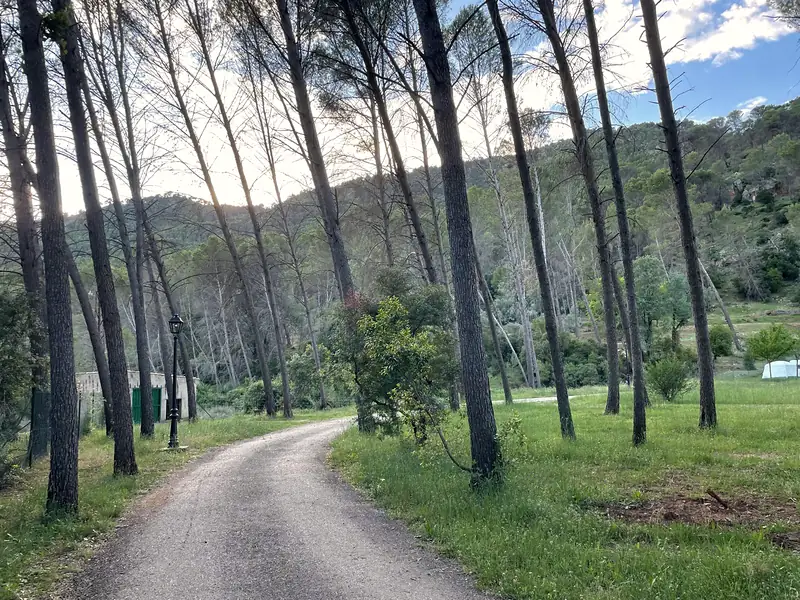 Caminos a la sombra
