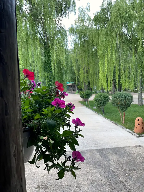 Rincones con flores