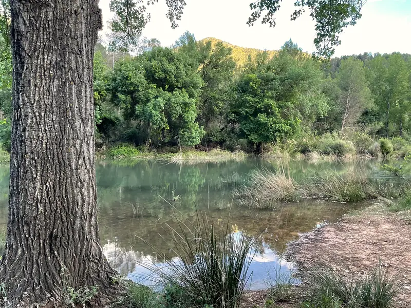 El Guadalquivir a tu lado