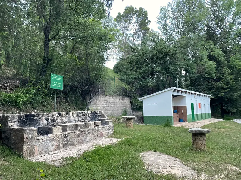 Instalaciones entre árboles